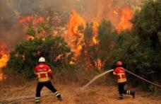 Avertizări de călătorie pentru Grecia și Portugalia: Risc de incendii și temperaturi ridicate