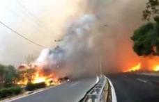 MAE atenționează românii care merg în Grecia că de azi există risc ridicat de incendii de vegetație, în anumite zone