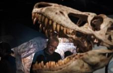 Descoperire: Tyrannosaurus Rex avea un „aparat de aer condiționat” în craniu