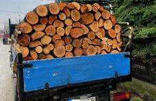 Material lemnos confiscat la Ștefănești