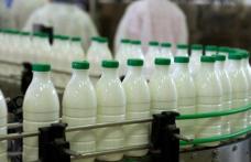 SC angajează personal pentru fabrică de lactate