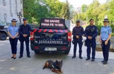 700 de șanse pentru o carieră în Jandarmeria Română. Jandarmii vor promova cariera militară la Dorohoi