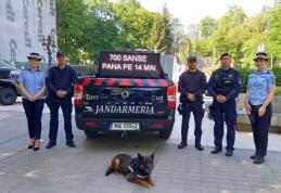 700 de șanse pentru o carieră în Jandarmeria Română. Jandarmii vor promova cariera militară la Dorohoi