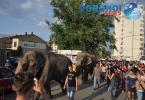 Parada cu elefanti - Circul Gartner - Dorohoi_09
