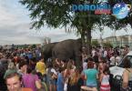 Parada cu elefanti - Circul Gartner - Dorohoi_15