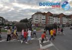 Parada cu elefanti - Circul Gartner - Dorohoi_20