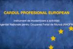 Cardul Profesional European