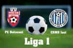 FC-Botosani-CSMS-Iasi