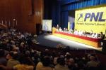 pnl-a-stabilit-candidati-la-botosani