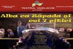 spectacol teatru vasilache