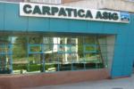 Carpatica Asig