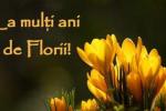 la_multi_ani_de_florii