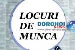 locuri de muncă vacante 01