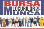 Bursa locurilor de munca - BT