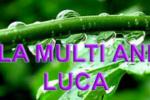 la multi ani Luca