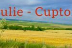 cuptor-iulie