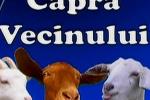 capra vecinului