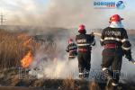 Incendiu vegetatie Dorohoi_24