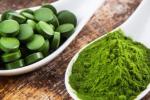 Chlorella