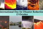 IDDR_13_oct