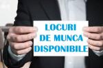 Locuri de munca_1