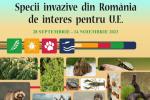 Specii invazive din Romania de interes pentru UE