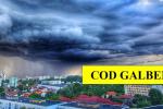 cod-galben-