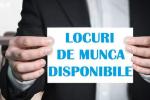 locuri-de-munca-vacante