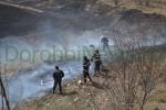 Incendiu vegetatie Dorohoi_04