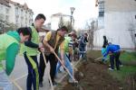 Miscarea pentru Botosani_Ecologizare Bucovina (2)