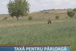 taxa pentru parloaga