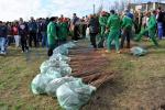 Actiune de plantare 20.04.2013 Dorohoi