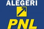 Alegeri_pnl