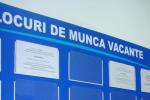 locuri-de-munca-vacante