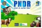 caravana pndr