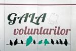 gala-nationala-a-voluntarilor1