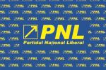 PNL