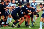 rugby