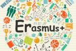 Erasmus