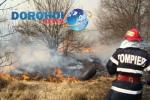 Incendiu vegetatie-DH