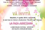 Afis Faza Judeteana 2015_1