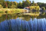 Parcul-Natural-Lunca-Muresului