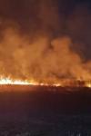 Trei incendii de vegetație uscată izbucnite în ultimele ore în județ. Zeci de hectare de stuf și copaci au ars