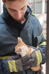 Pisoi buclucaș salvat de pompieri după ce a rămas blocat pe acoperișul unui bloc