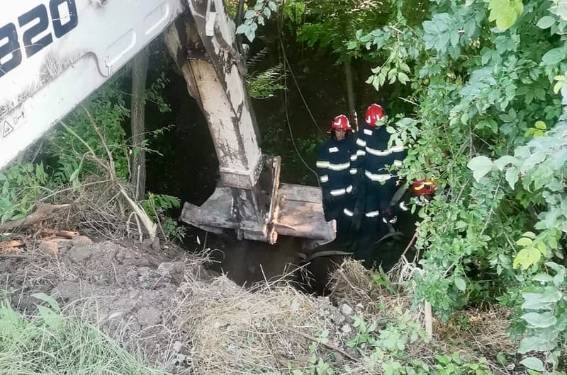 Intervenție a pompierilor pentru salvarea unei vaci care a căzut de pe un pod în albia unui pârâu