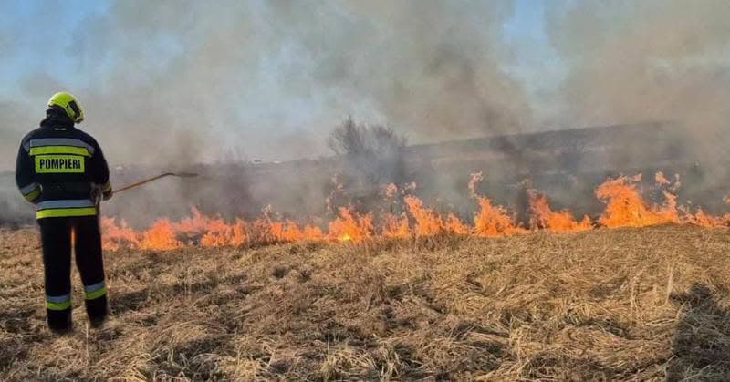 Cinci incendii de vegetație uscată, în ultimele ore