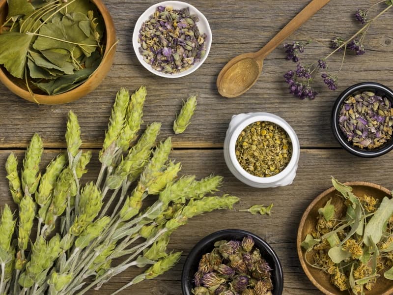 Plante medicinale ușor de găsit care îți curăță corpul de toxine