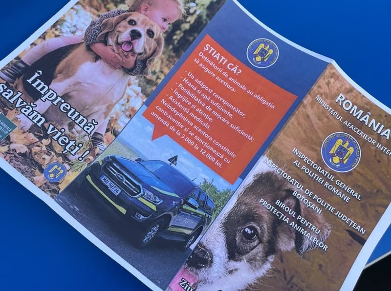 1 zi, 1 spital mobil, 115 animale sterilizate la Leorda