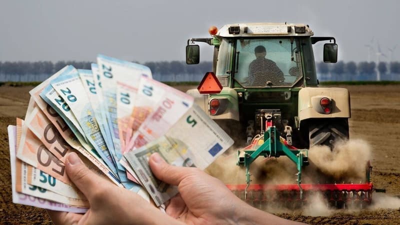 Fermierii români primesc despăgubiri pentru seceta din 2025
