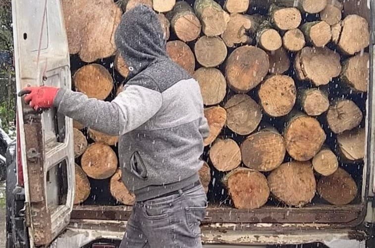 S-a ales cu o amendă în valoare de 4.000 de lei și cu lemnul confiscat
